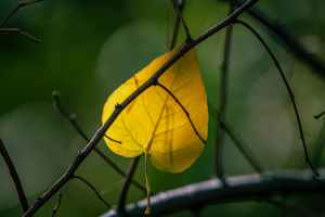 pexels-photo-3040533