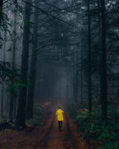 pexels-photo-1895584