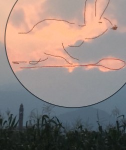 IMG_6142 (modifié)(1)