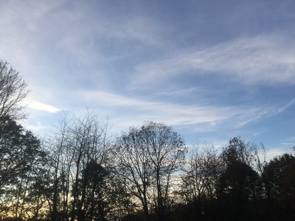 Cette image a un attribut alt vide ; le nom du fichier est in-a-time-of-confusion.jpg