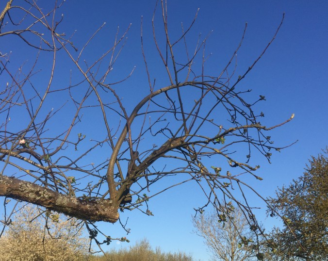 Cette image a un attribut alt vide ; son nom de fichier est on-croyait-1.jpg